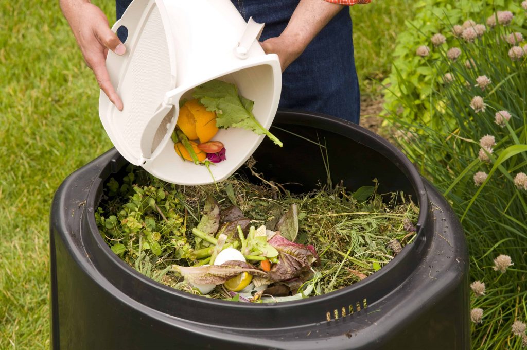 How to reduce food waste at home